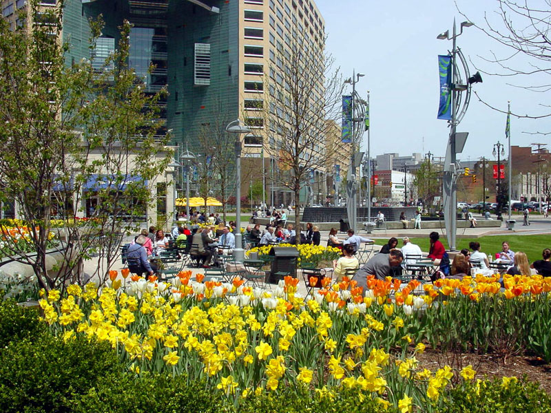 Downtown Lunch