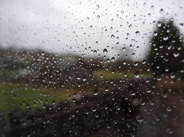 Rain Farm