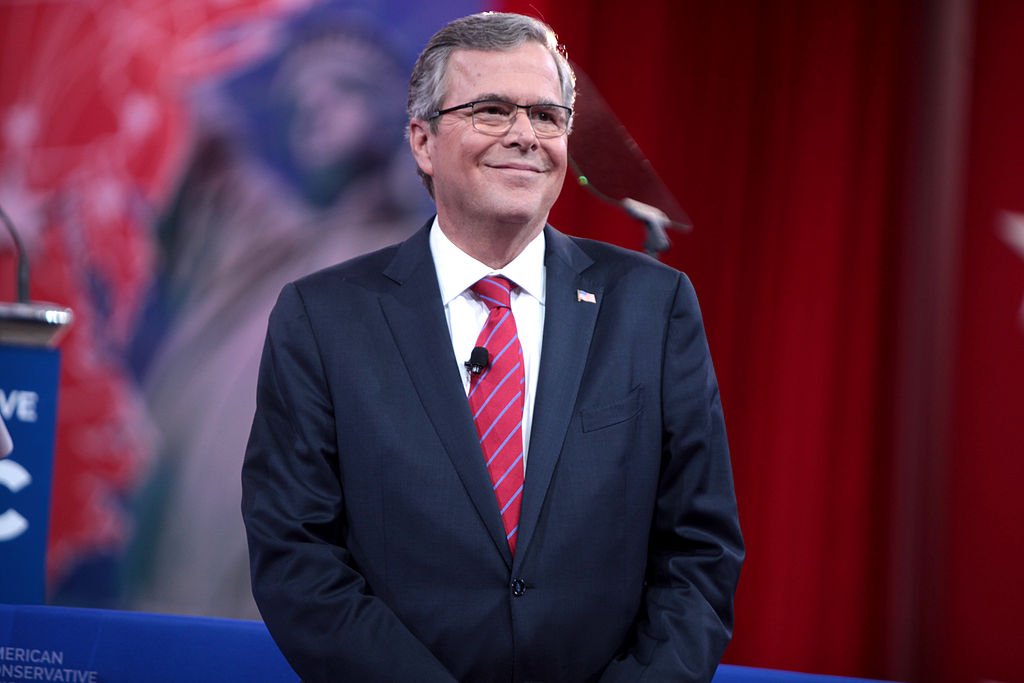 jeb bush