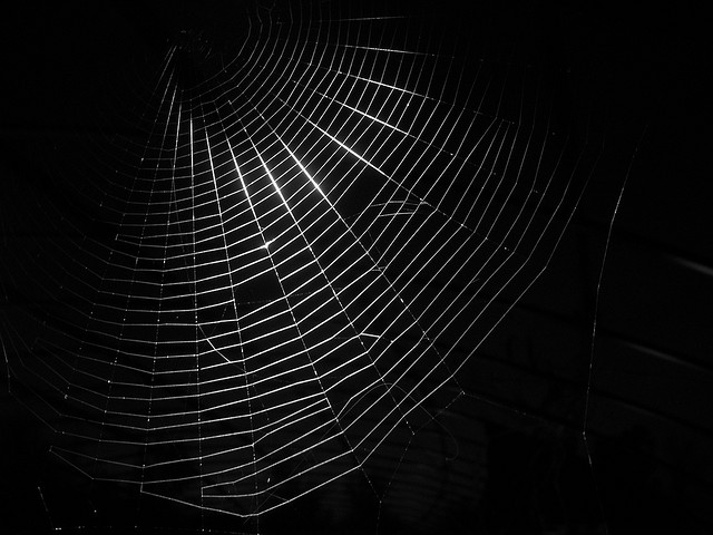 Dark Web