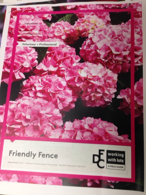 DFC Field Guide
