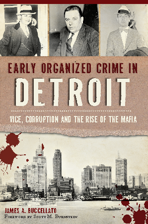 Organized Crime Book