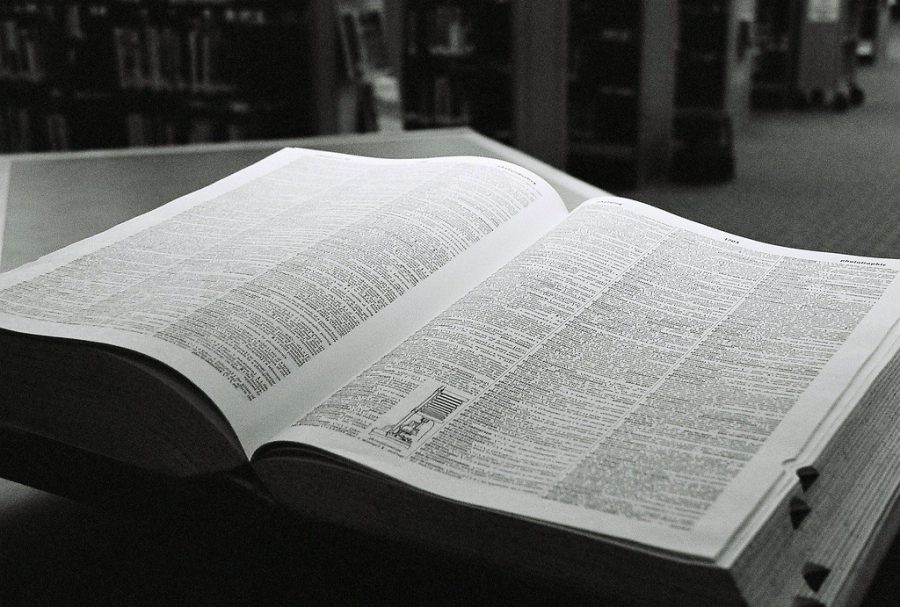 Dictionary words