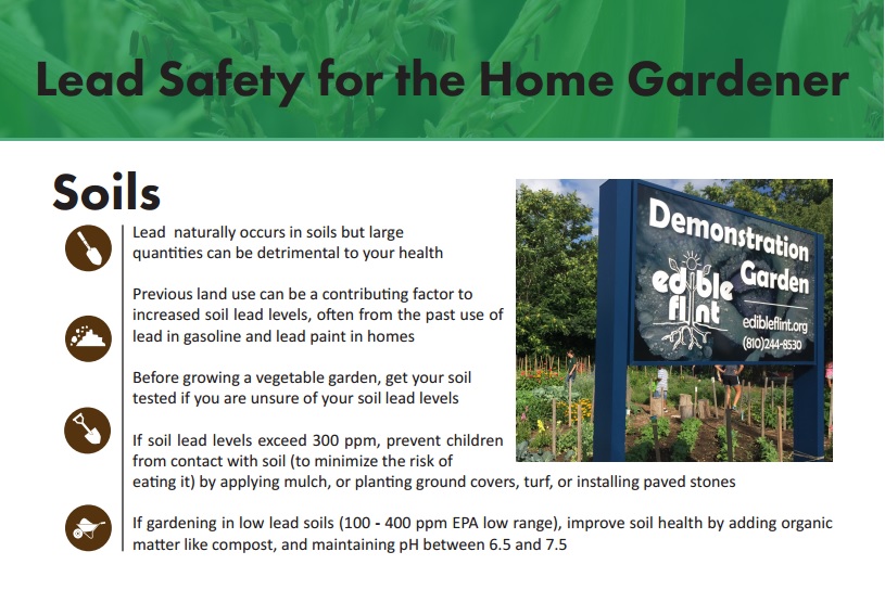 Soil Lead Gardening Safety