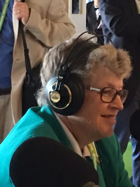 Lou Anna Simon