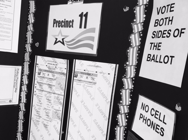 Voting Vote Election 5