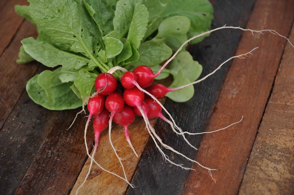 Radishes