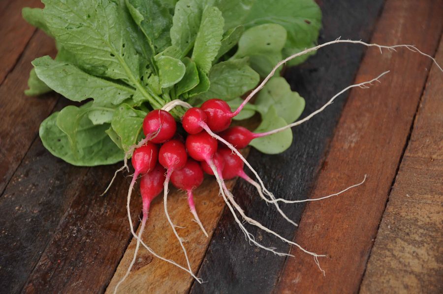 Radishes