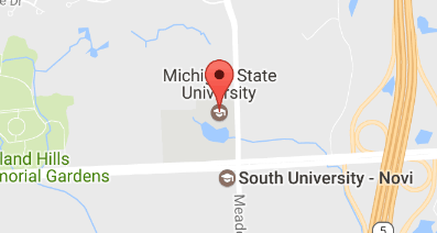 Novi Fire Site 3.8.2017