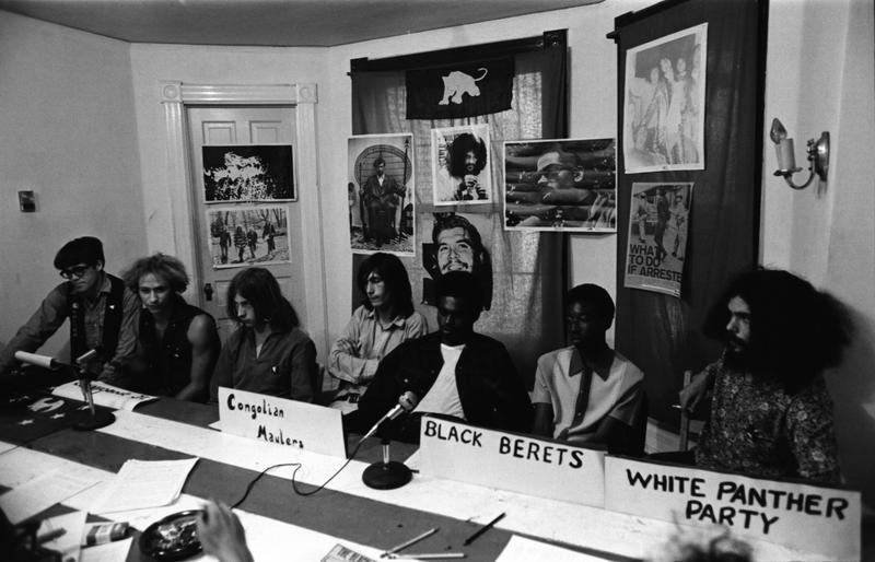 White Panther Panel