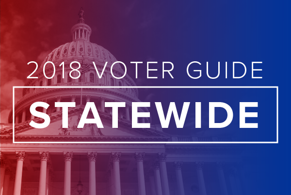 Voter Guide Thumbnail Statewide