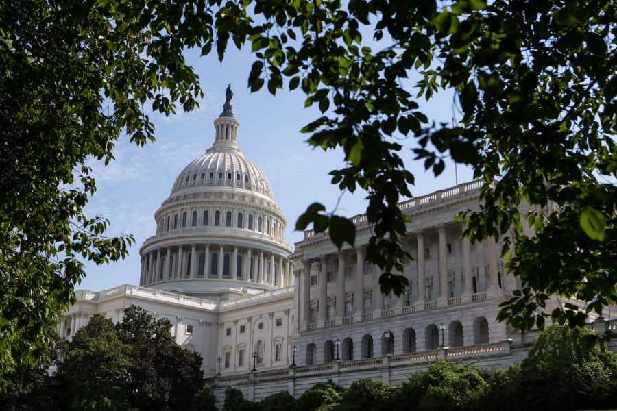 The U.S. Capitol framed by tree branches