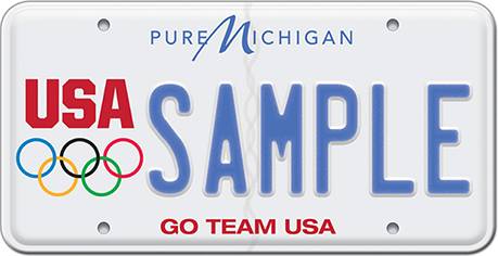 MI license plate sample 04/15/2019