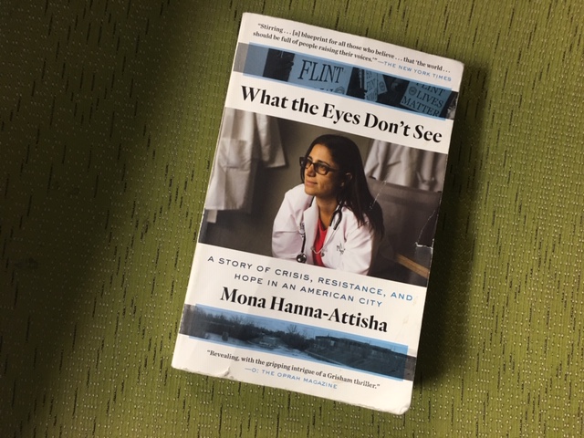 What the Eyes Don't See by Mona Hanna Attisha