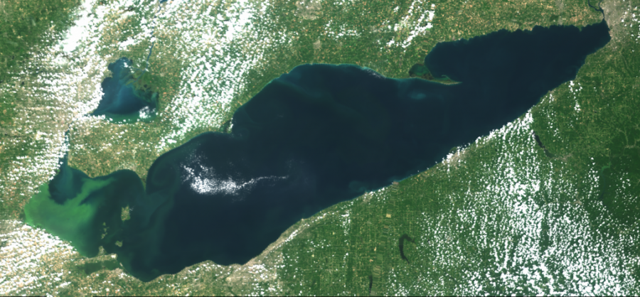 Lake Erie Bloom 2019 110119