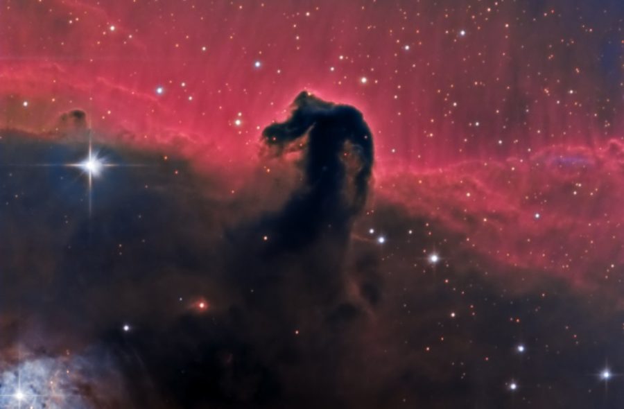 Horse Hear Nebula Image from Wayne State Observatory 2/28/2020