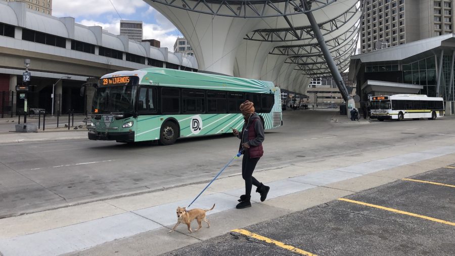 A man walks his doc near the Rosa Parks Transit Center