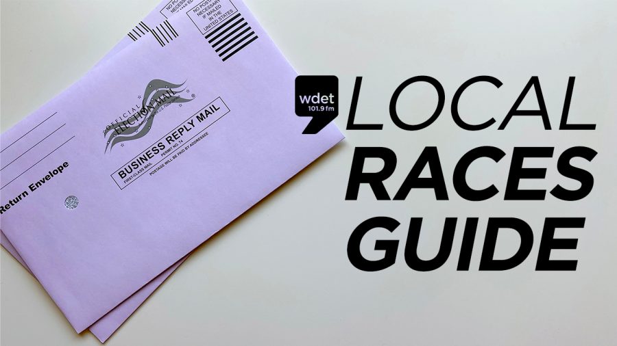 election local races guide