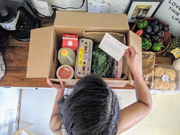 Michigan Fields food box delivery grocery