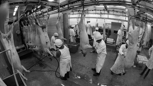 Pig,_meat_industry,_slaughterhouse_Fortepan_76068
