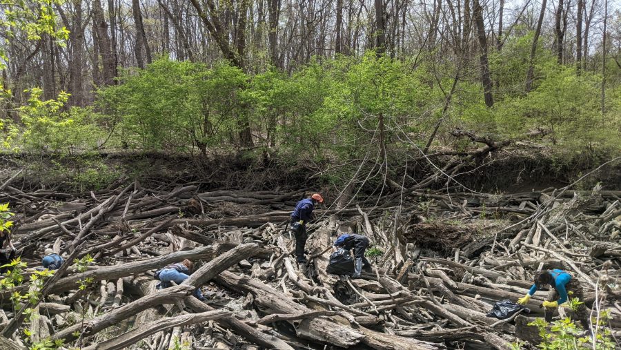 The 2024 Eco-Artist-in-Residence at Eliza Howell Park, Halima Cassells, will be using materials and waste collected during an Earth Day River Clean-up in her upcoming art installation.